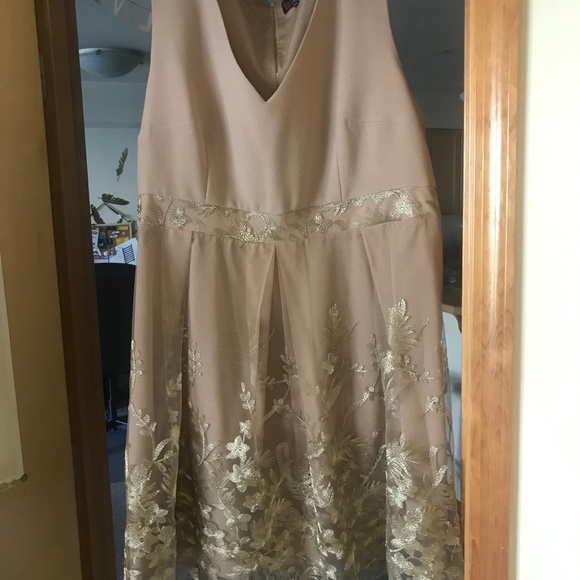 Lovedrobe Plus Skater Dress With Lace Border - Picture 2 of 4